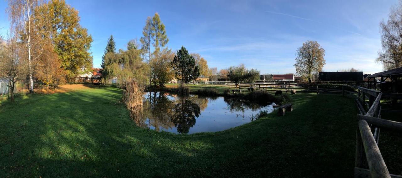 Apartmany Kojakovice - Trebon Jílovice Exteriör bild